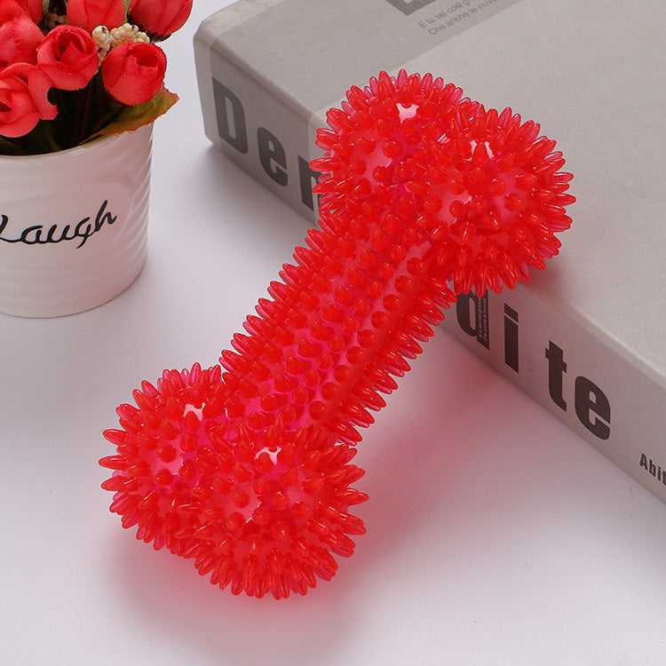 Spike Silicone Bone-Shaped Dog Toy