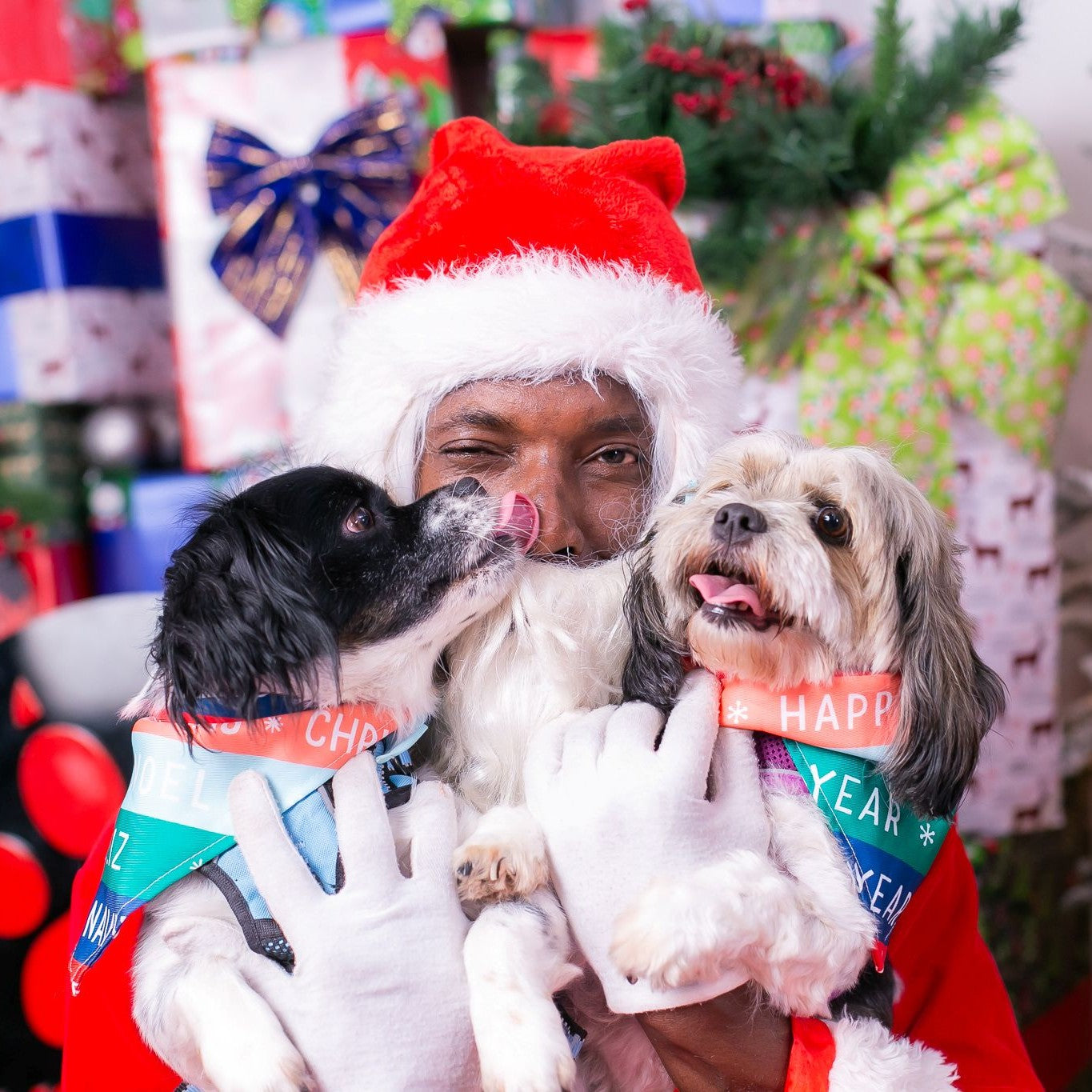 FREE Pet Photos with Santa