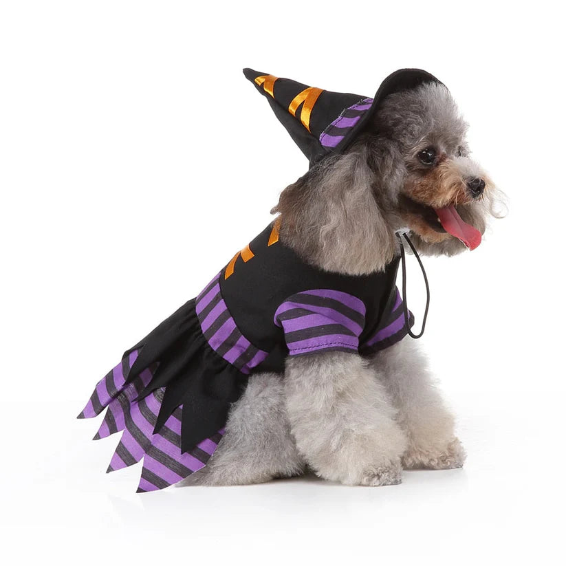 Halloween Witch Costume