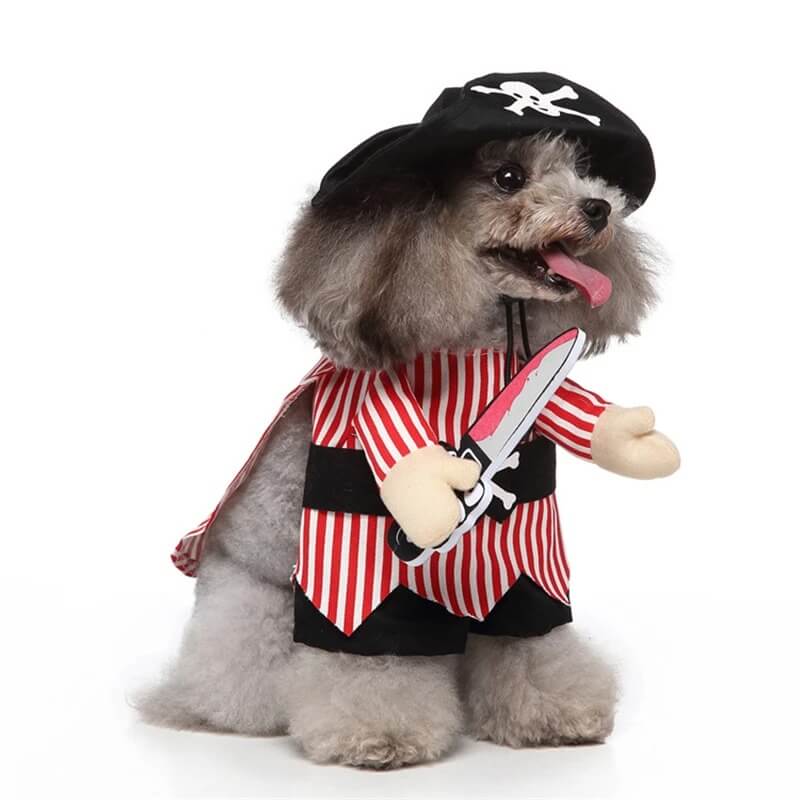 Pirate Dog Halloween Costume