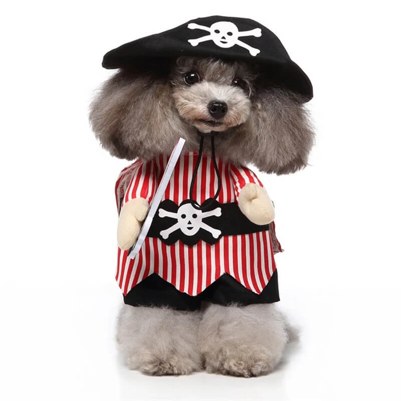 Pirate Dog Halloween Costume