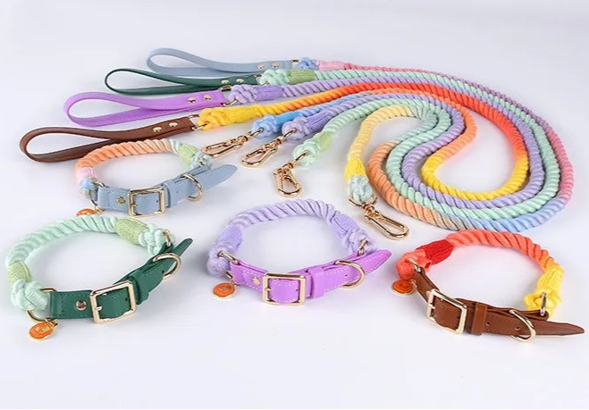 Leather Braided Dog Collar and Cotton Leash Set