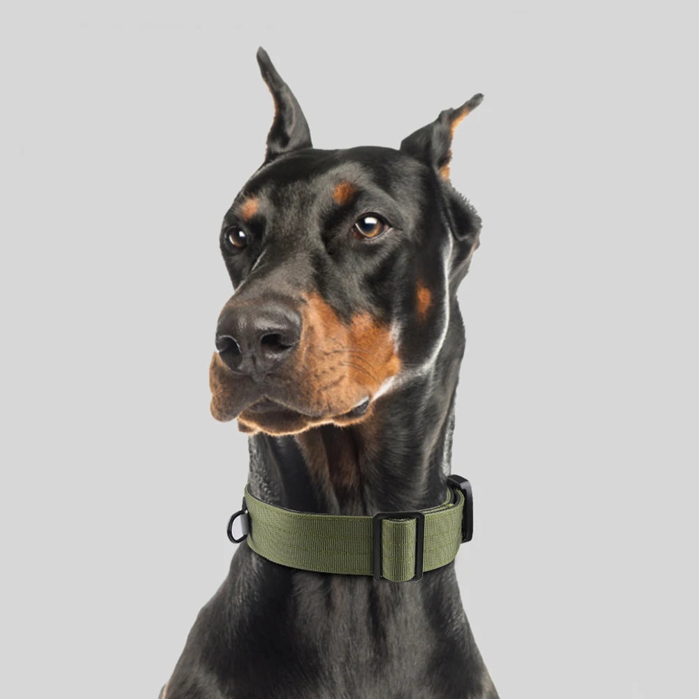 Premium Tactical Dog Collar