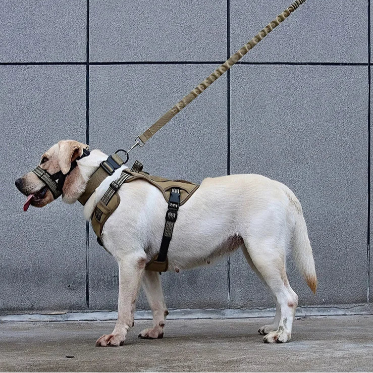 Tactical Dog Harness and Leash Set
