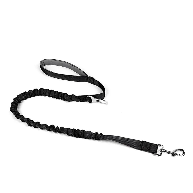 Tactical Dog Harness and Leash Set