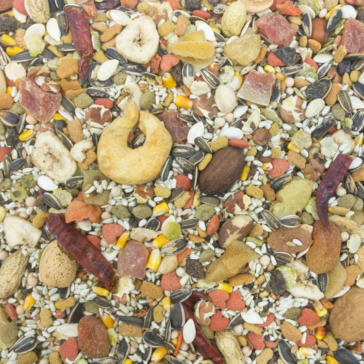 HIGGINS SUNBURST GOURMET BLEND MACAW, 3 lbs