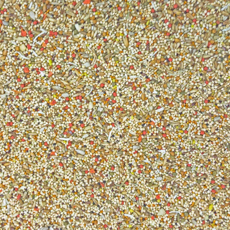 HIGGINS SUNBURST GOURMET BLEND PARAKEET, 2lbs