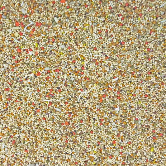 HIGGINS SUNBURST GOURMET BLEND PARAKEET, 2lbs