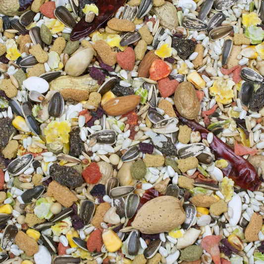 HIGGINS SUNBURST GOURMET BLEND PARROT, 3 lbs