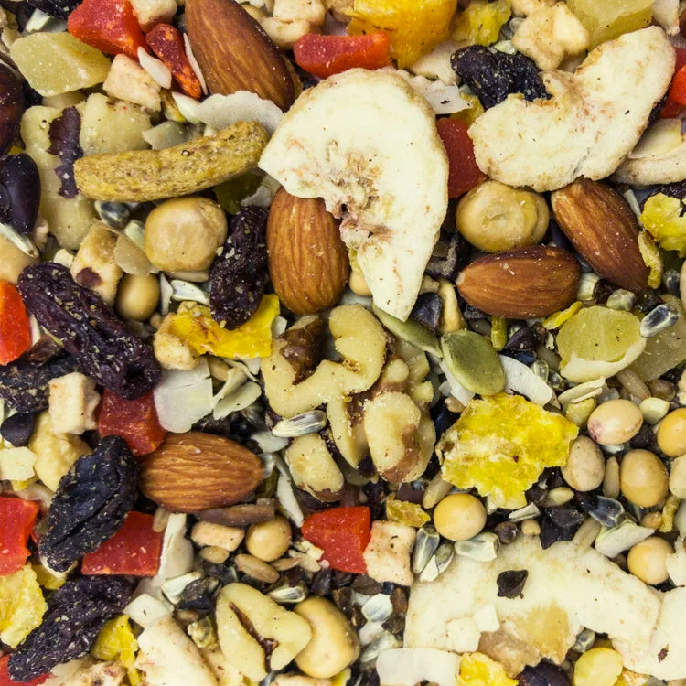 Higgins Sunburst Fruit to Nuts 5 Oz