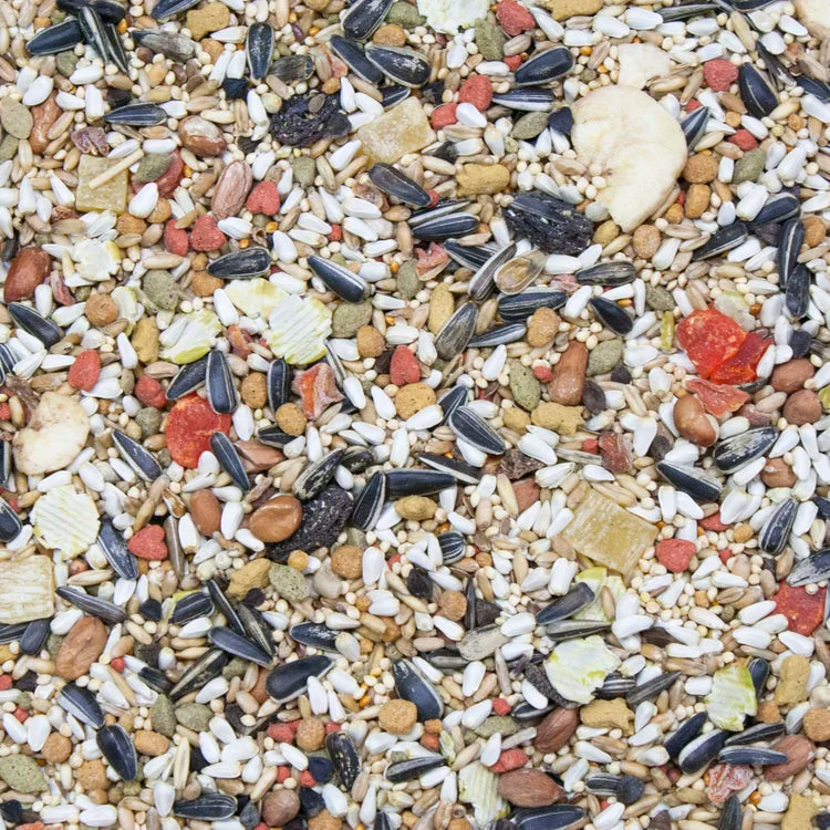 HIGGINS VITA SEED CONURE & LOVEBIRD, 2 lbs