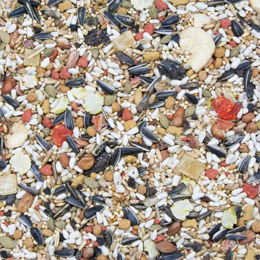 HIGGINS VITA SEED CONURE & LOVEBIRD, 2 lbs