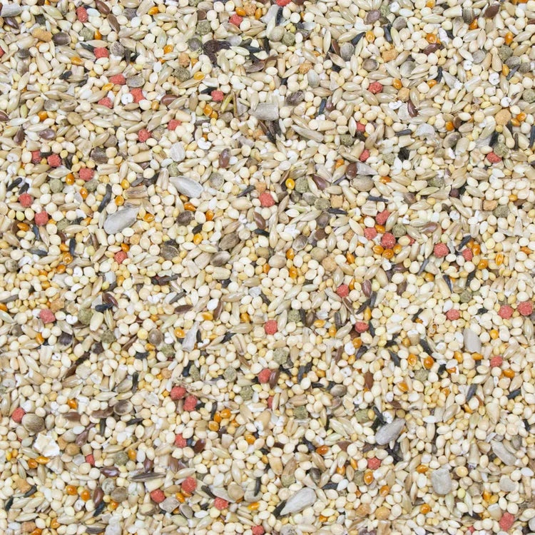 HIGGINS VITA SEED FINCH, 2 lbs