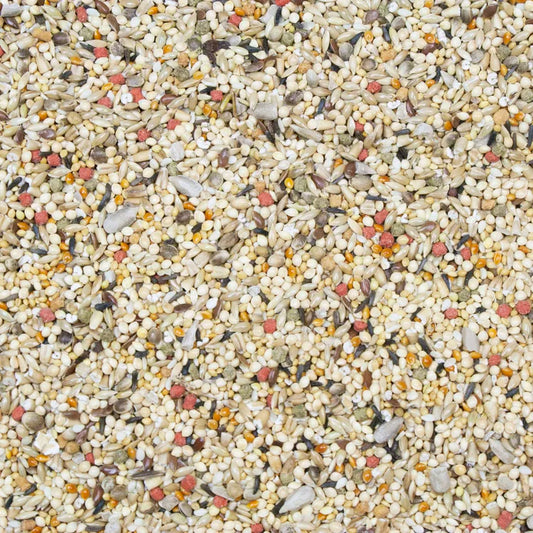 HIGGINS VITA SEED FINCH, 2 lbs