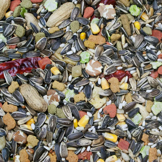 HIGGINS VITA SEED PARROT, 5 lbs