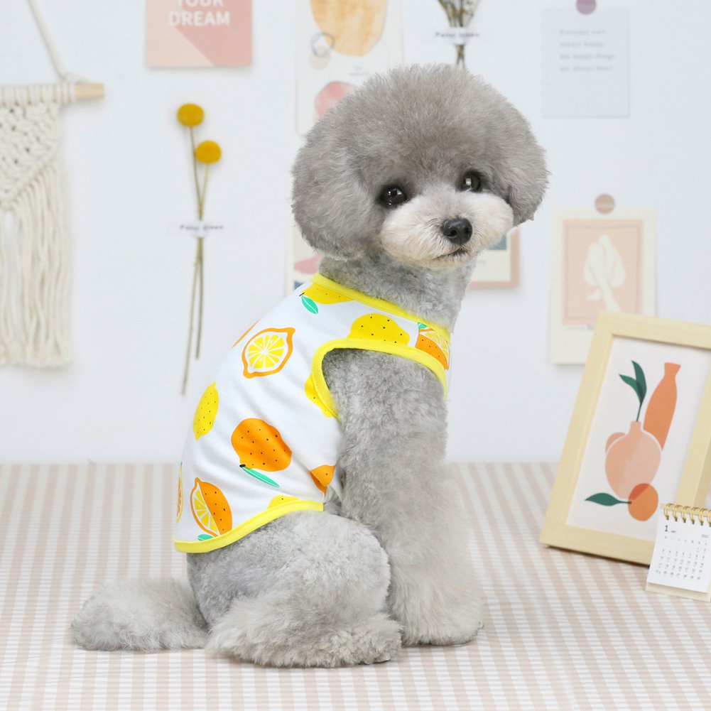 Cute Pet Fruit Print Vest