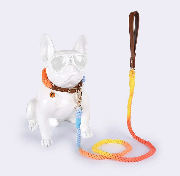 Leather Braided Dog Collar and Cotton Leash Set