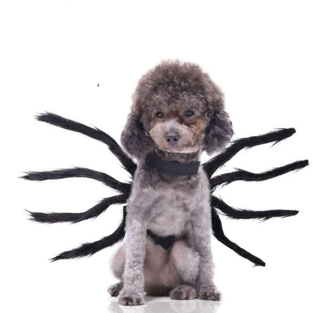 Spider Halloween Dog Costume