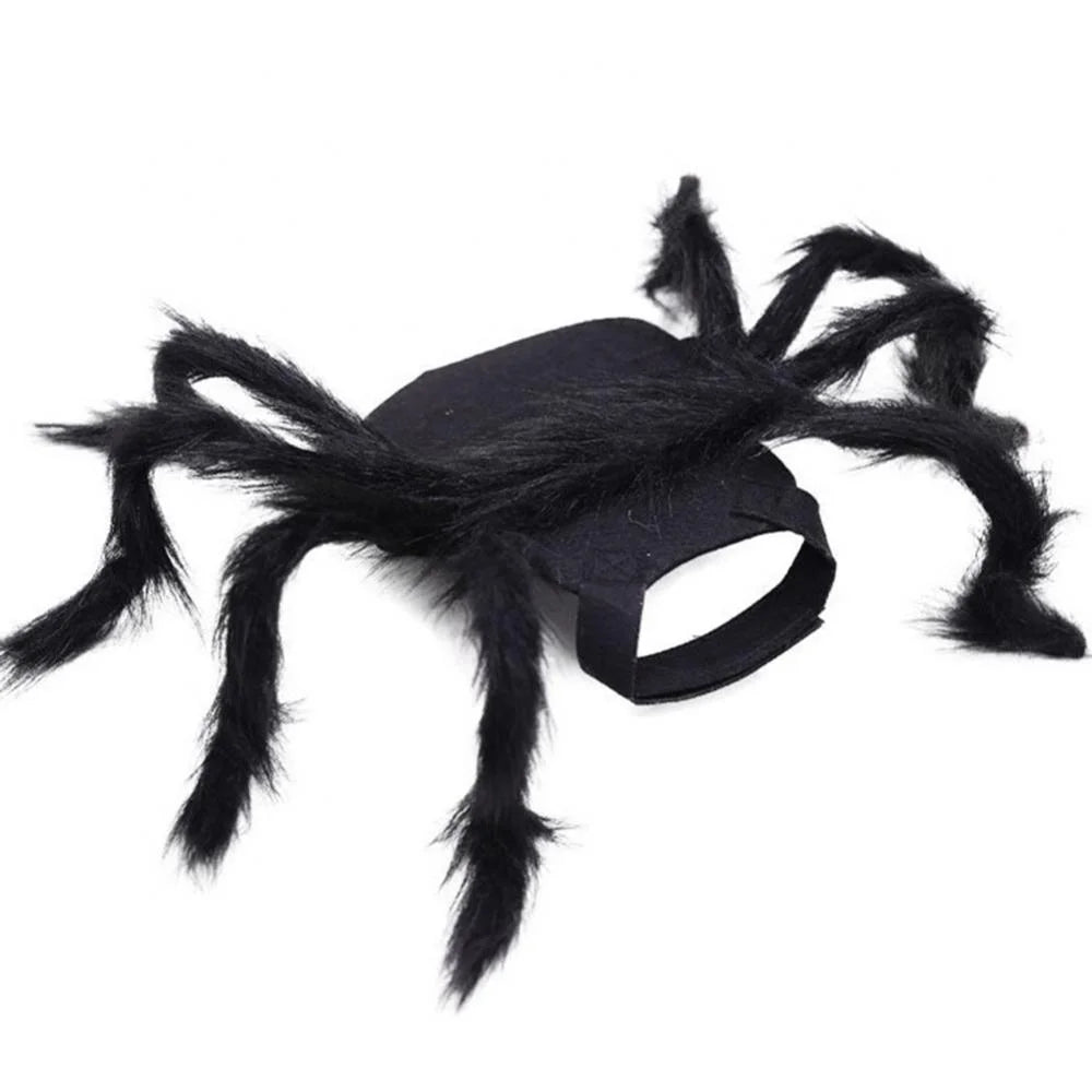 Spider Halloween Dog Costume