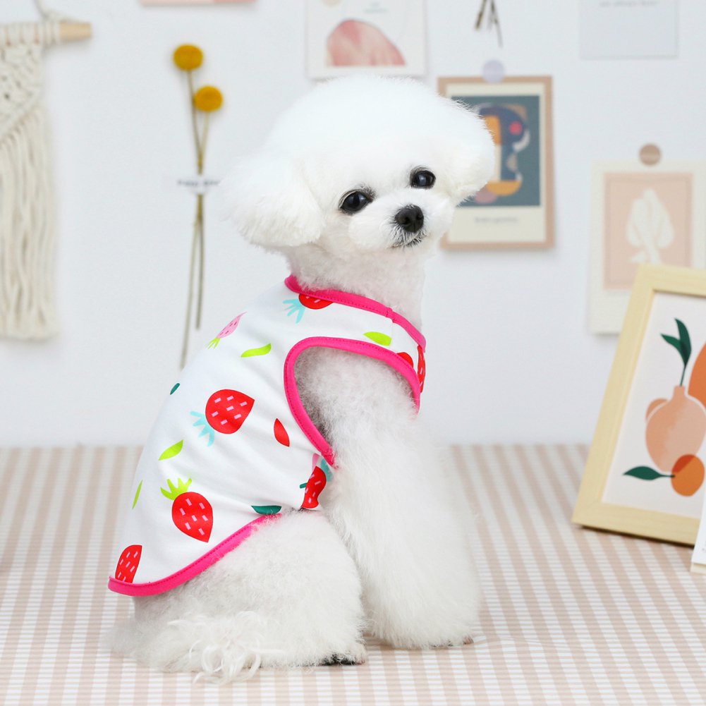 Cute Pet Fruit Print Vest