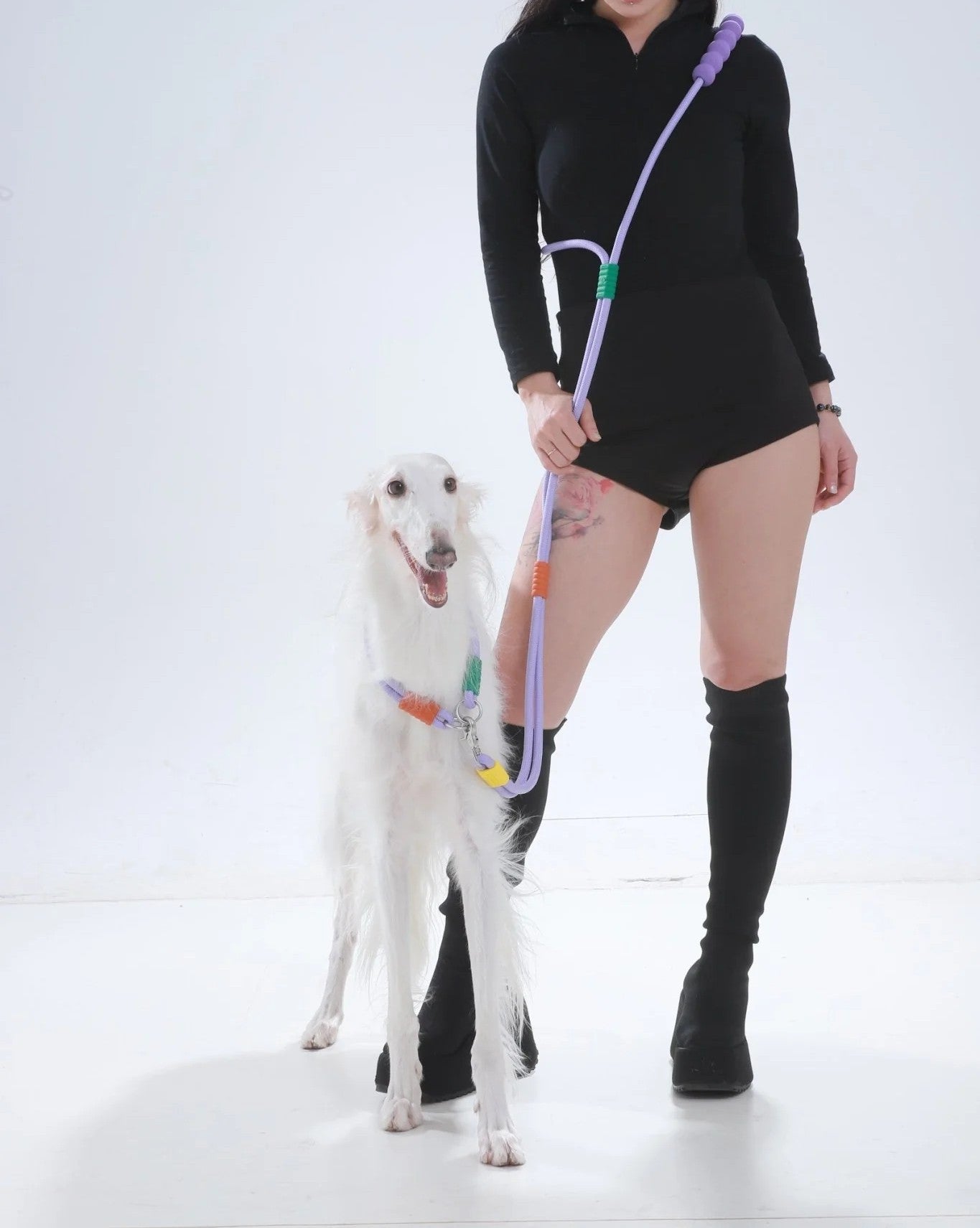 Hand-Free  Double-Segmented Dog Leash