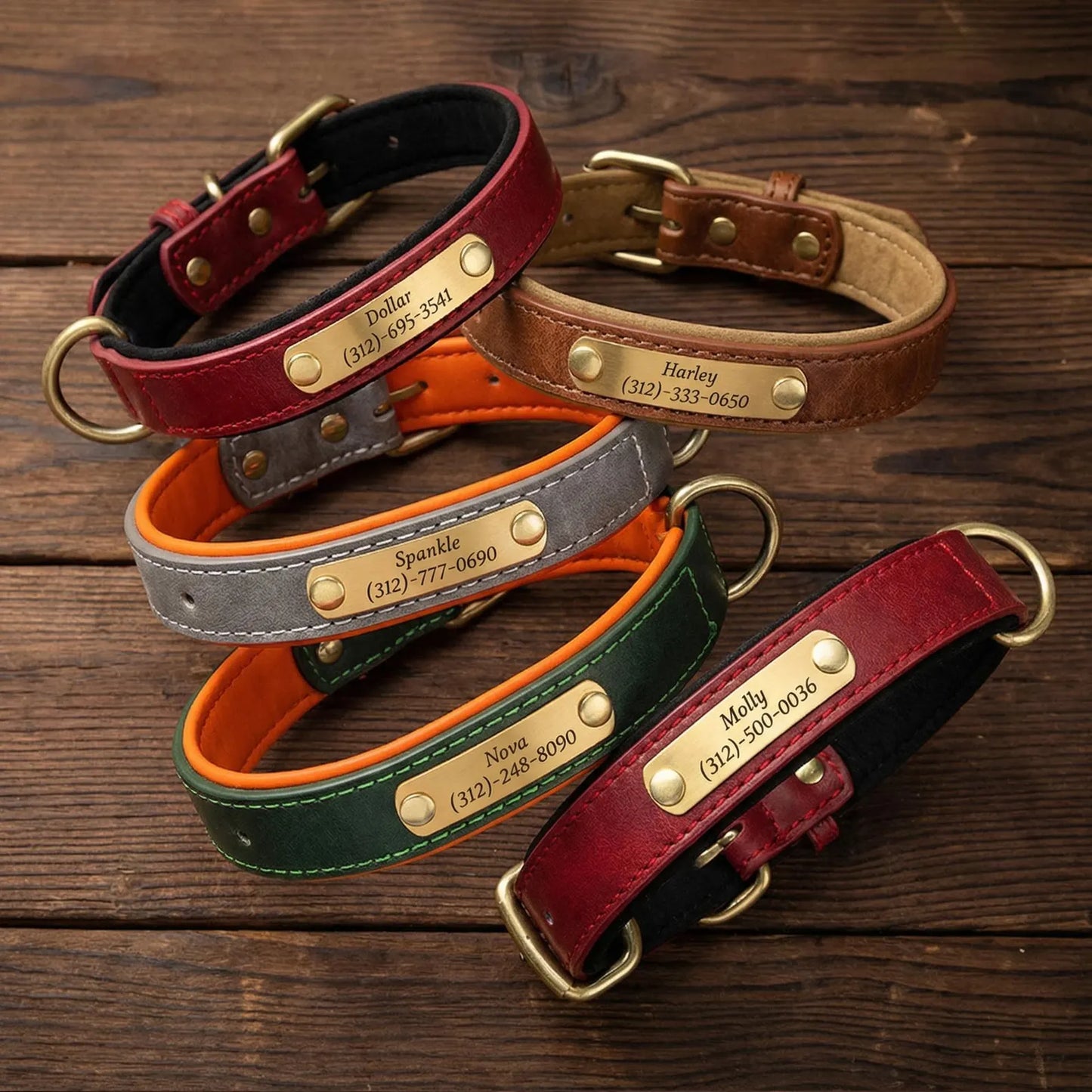 Personalized Engraved Leather Dog Collar with Metal Nameplate