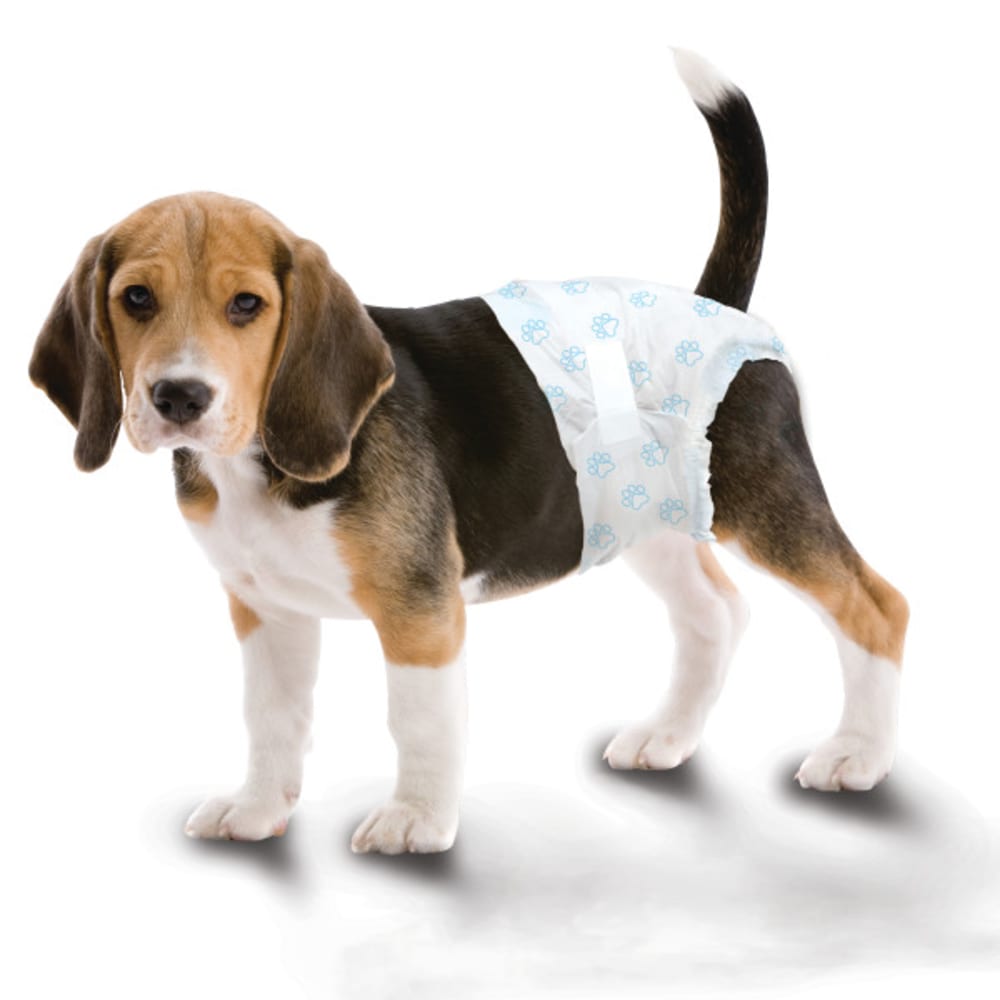 Wee-Wee Disposable Dog Diapers