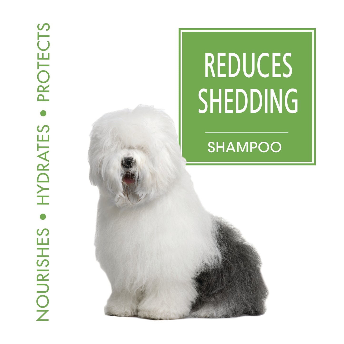 Magic Coat Reduces Shedding Shampoo