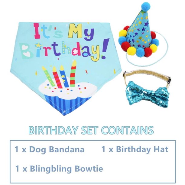 Dog Birthday Party Costume Set