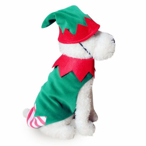 Elf Dog  ChristmasCostume