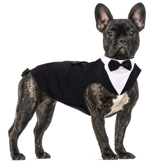 Dog Tuxedo Suit and Bow Tie Set