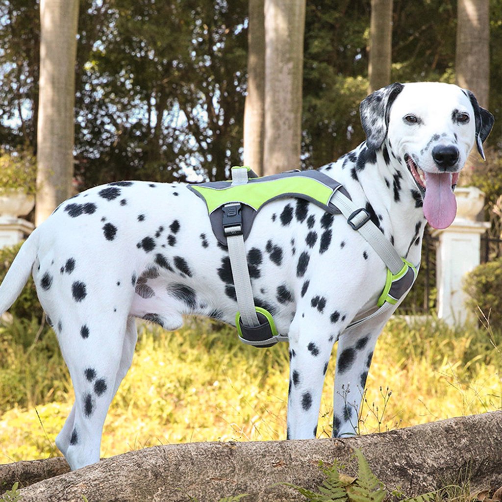 Adjustable Reflective Dog Traction Harness