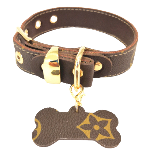 Louis Pawtton Leash and Collar Set