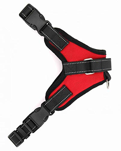 Soft Padded Heavy-duty Adjustable Dog Harness