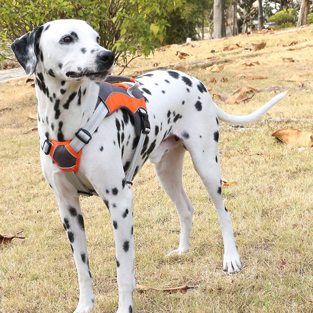 Adjustable Reflective Dog Traction Harness