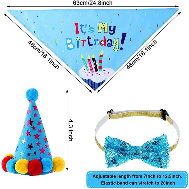 Dog Birthday Party Costume Set