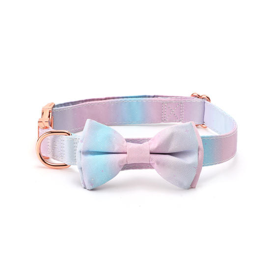 Bow Tie Collar