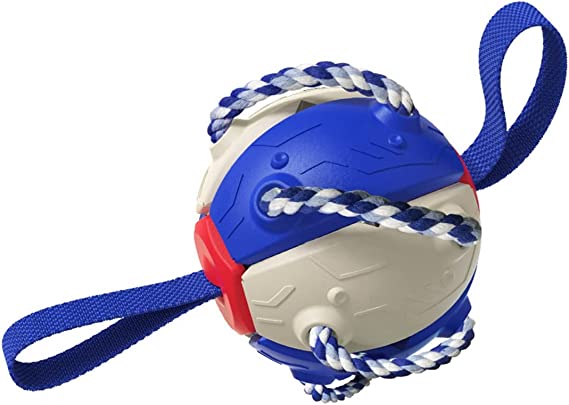 Large 2-Way Durable Ball Chew Toy