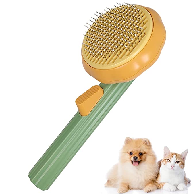 Automatic clearance cat brush