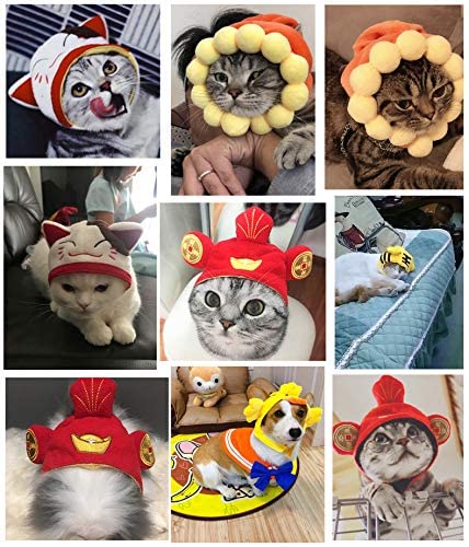 Cute Pet Hats for Cats Small Dogs Kitten Puppy