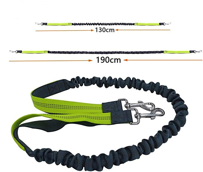 Hands-Free Reflective Retractable Bungees Dog Leash