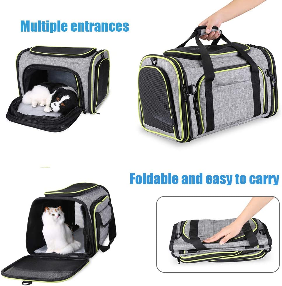 Airline Approved Expandable Pet Carrier