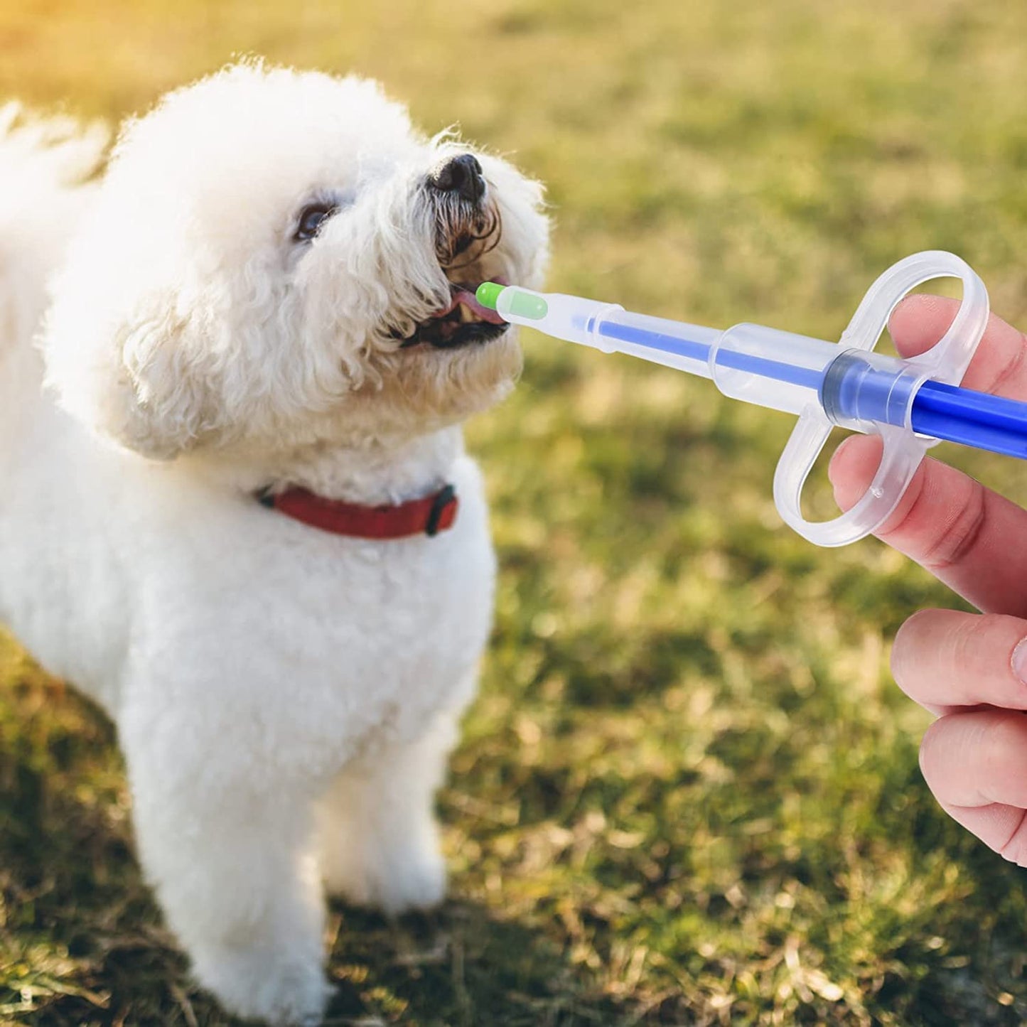 Pet Feeding Kit - Syringe Feeding Tool With Soft Tip For Cats, Dogs And Small Animals