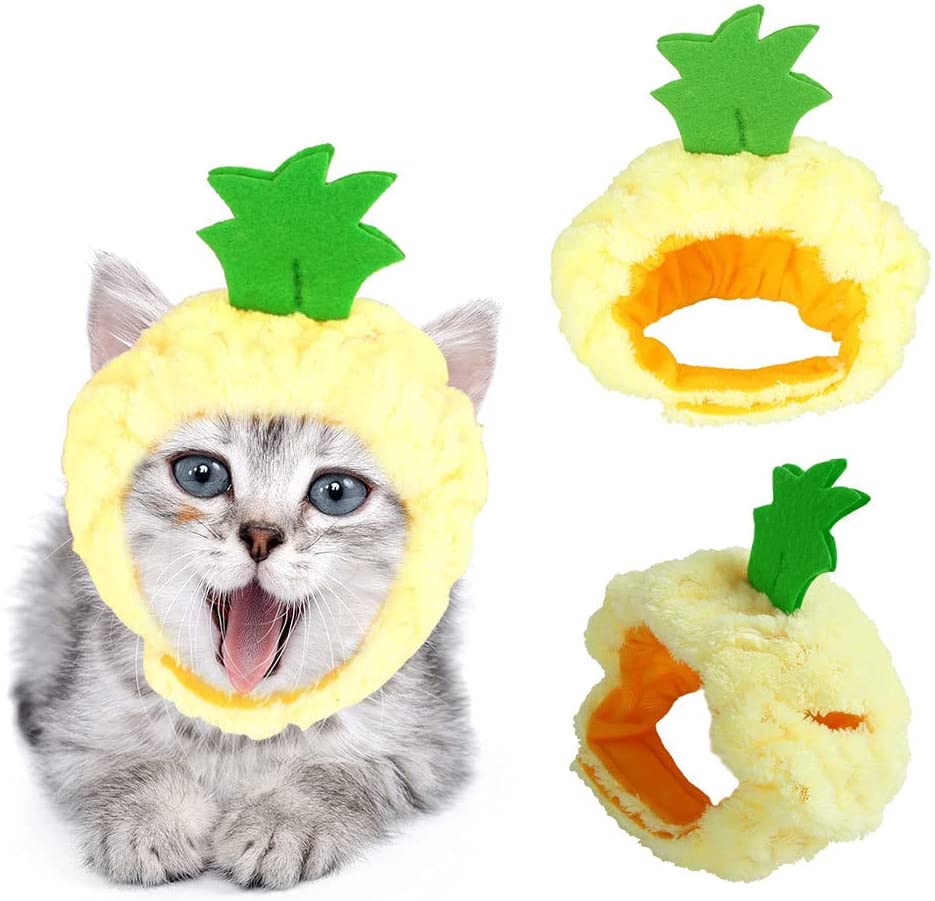 Cute Pet Hats for Cats Small Dogs Kitten Puppy