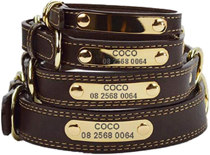 Personalized Heavy-duty Leather Engraved Dog Collar