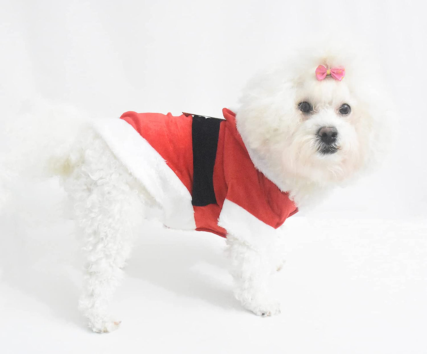 Santa Costume Christmas Pet Clothes