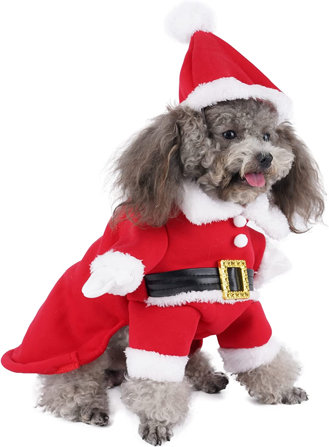 Santa Claus Dog Christmas Costume