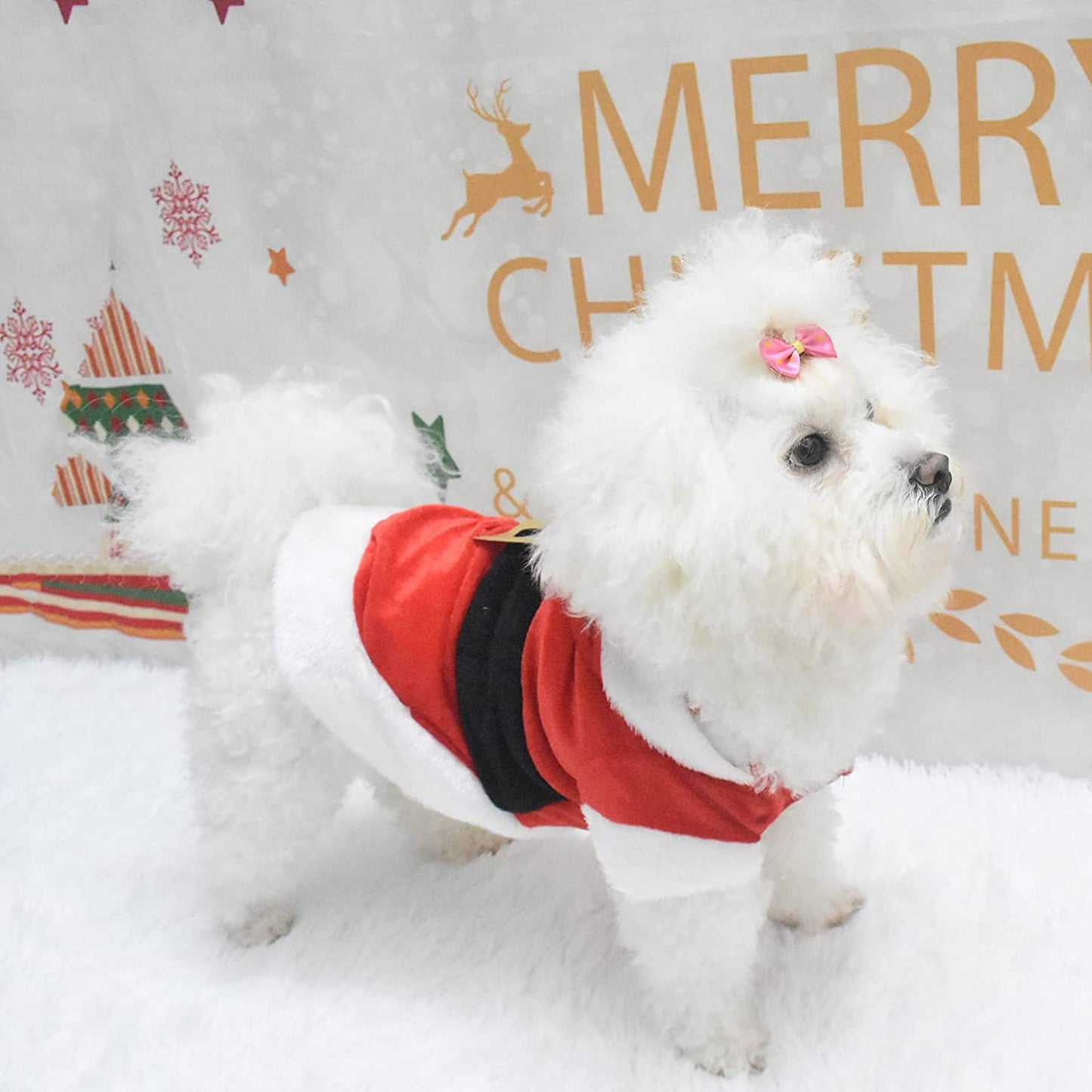 Santa Costume Christmas Pet Clothes