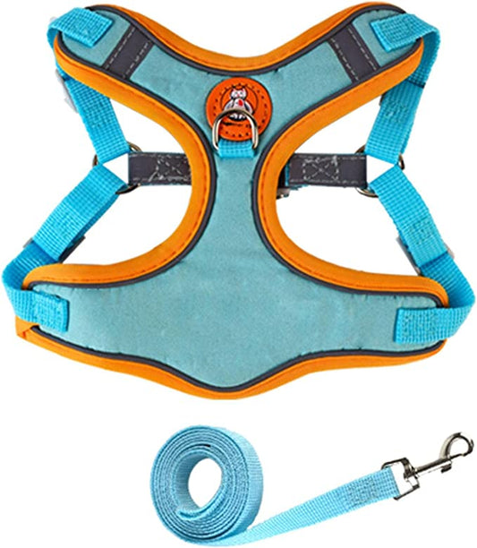 Dog Harness Leash Set