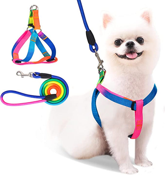 Rainbow Adjustable Pet Harness with Leash Set